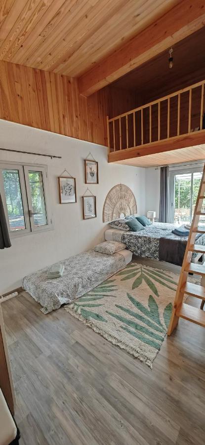 Grande Maison Carpediem, Le Calme A La Campagne Cassaignes Zewnętrze zdjęcie