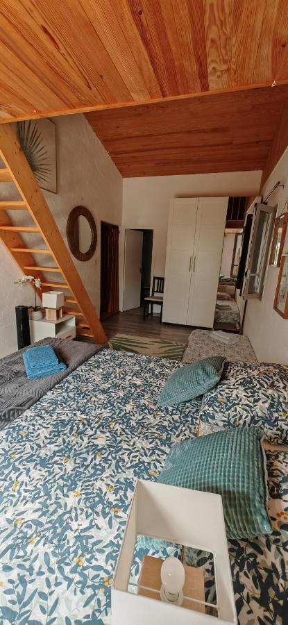 Grande Maison Carpediem, Le Calme A La Campagne Cassaignes Zewnętrze zdjęcie